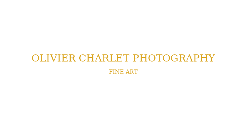 olivier_charlet_logo_transparent photographe-famille-bruxelles